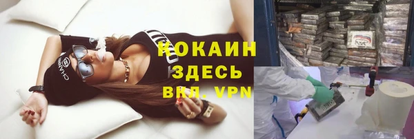 PSILOCYBIN Алзамай