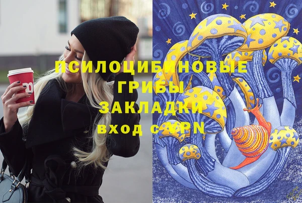 PSILOCYBIN Алзамай