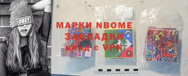 PSILOCYBIN Алзамай