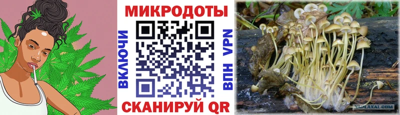 наркошоп Белгород Галлюциногенные грибы Magic Shrooms